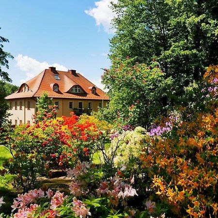 Rezydencja Grawert Boutique & Spa Lądek-Zdrój Esterno foto