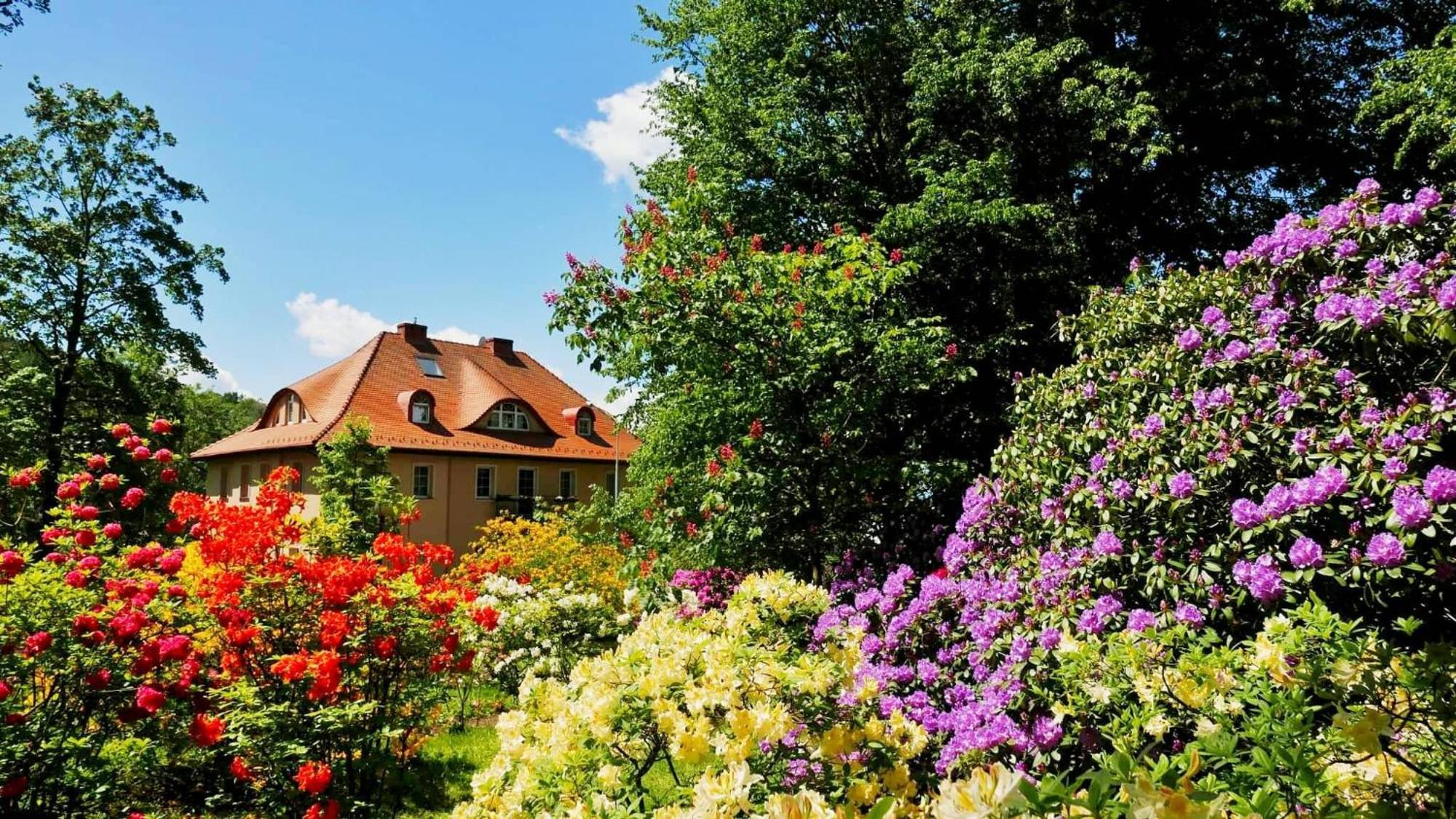 Rezydencja Grawert Boutique & Spa Lądek-Zdrój Esterno foto